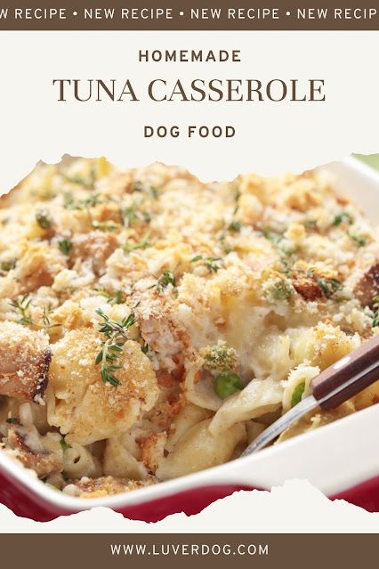 Top 5 Homemade Dog Food With Tuna Tuna Dog Food Recipe, Homemade Dog Food Recipes With Salmon, Homemade Dog Food With Fish, Quinoa Dog Food Recipes, Salmon Dog Food Recipes, Homemade Dog Food With Tuna, Tuna Dog Treats, Homemade Dog Food Crockpot, Rice And Tuna