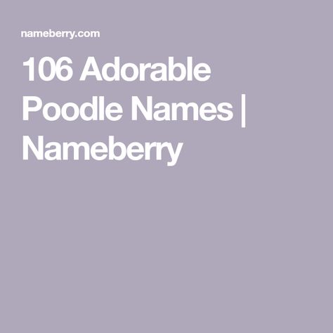 106 Adorable Poodle Names | Nameberry Female Name Ideas, Top 100 Names, Giant Poodle, Mini Poodle Puppy, Toy Poodle Puppy, Poddle, French Poodles, Mini Poodles, Puppy Names