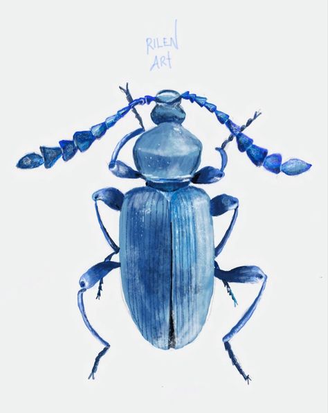 Procreate & ipad Rainbow Beetle, Crawling Animals, Beetle Drawing, Hercules Beetle, Creepy Animals, Beetle Art, Mixed Media Illustration, Bug Art, Blue Beetle