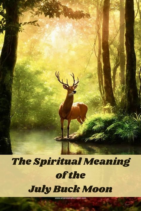 The Spiritual Meaning of the July Buck Moon — Amanda Linette Meder Capricorn Full Moon, Full Buck Moon, Buck Moon, Male Deer, Strawberry Moons, Moon Quotes, Capricorn Moon, Spiritual Living, Yellow Art