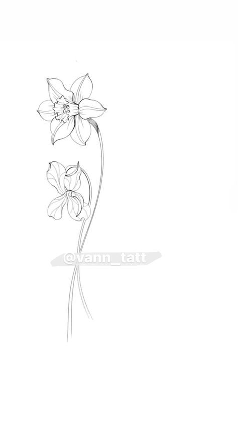 March Bouquet Tattoo, Single Daffodil Tattoo, March Month Flower, Dafodill Flowers Tattoo Fine Line, Daffodils Flower Tattoo, Fineline Daffodil Tattoo, Daffodil Tattoo Stencil, Flower Tattoo Daffodil, Dafadills Tattoo Design