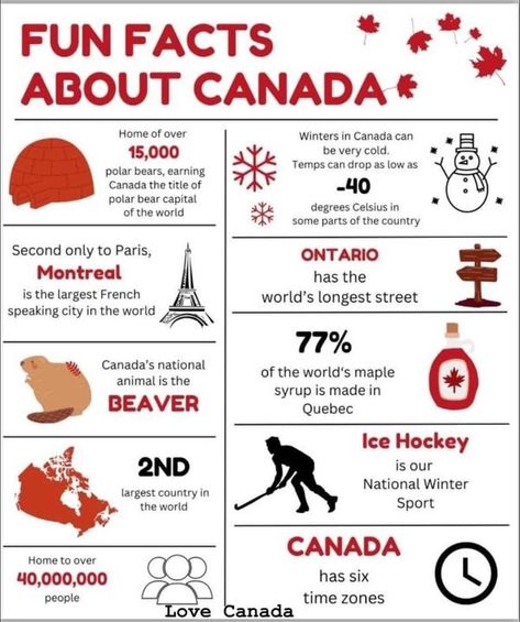 Canada tokens Fun Facts About Canada, Canadian Facts, Canada Quotes, Facts About Canada, Canadian English, Canada Project, About Canada, Canada Christmas, Travel Packing Checklist