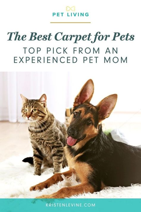 Is it possible to enjoy a soft carpet while have pets? Read about my favorite pet friendly carpet and how easy it is to keep clean. Pet Friendly Carpet, Dog Training Books, Durable Carpet, Impossible Dream, Pet Advice, Pet Mom, Pet Cleaning, Senior Cat, Pet Stains