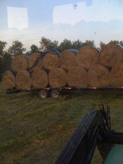 bringing hay rolls to the bale yard. Bailing Hay, Hay Balers, Hay Bales, Down On The Farm, Farm Life, Agriculture, Rolls, Yard, Texture