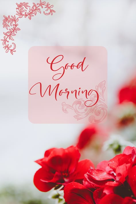 God Morning Quotes, Beautiful Good Morning Quotes, Morning My Love, Nice Good Morning Images, Good Morning Massage, Lovely Good Morning Images, Good Day Messages, Good Evening Greetings, Good Morning Greeting Cards