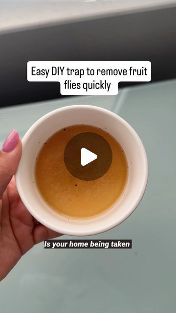 Homeaglow on Instagram: "Is your kitchen under attack from fruit flies? Use this hack to get rid of them fast. 

#fruitflies #fruitflytrap #cleaninghacks #cleaningtips #naturalbugcontrol #pestcontrol #naturalpestcontrol #cleaningtips #cleaningup" Fruit Flies Get Rid Of Vinegar, Fruit Flies How To Get Rid Of, Fruit Flies Get Rid Of Kitchens, How To Get Rid Of Fruit Flies Fast, How To Get Rid Of Fruit Flies In House, Fruit Flies Get Rid Of, Lion Sunset, Fruit Flies In House, Fruit Fly Trap