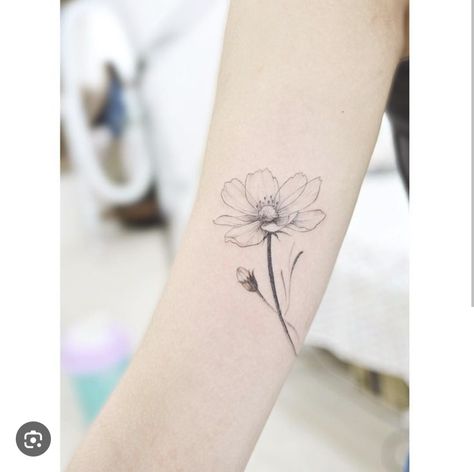 Cosmos Flower Tattoos, Flower Tattoo Birth Month, Tattoo Birth Month, Cosmos Tattoo, Fine Line Tattoo Ideas, Line Tattoo Ideas, Hipster Drawings, October Birth Flowers, Beauty Quiz