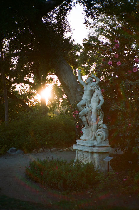 huntington library on film Gardens Aesthetic, Huntington Gardens, Engagement Announcement Photos, Huntington Library, Favorite Albums, Engagement Photography Poses, Cute Engagement Photos, Library Wedding, Spring Engagement Photos