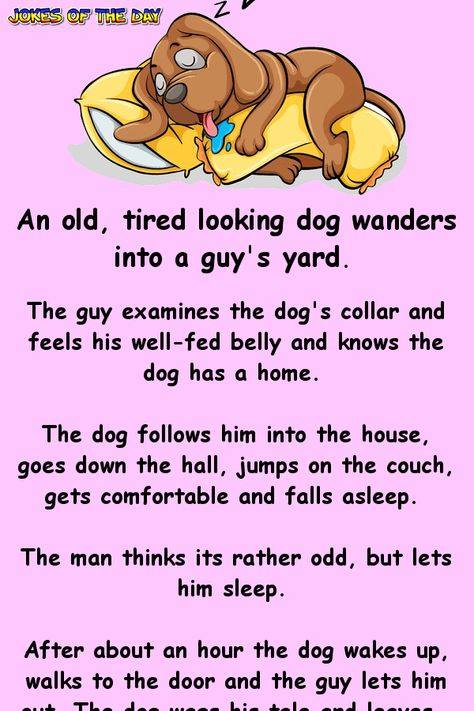 An old, tired looking dog wanders into a guy's yard.   The guy examines the dog's collar and feels his well-fed belly and knows the dog has a home.   The dog follows him into the house, goes down the hall, jumps on the couch, gets comfortable and falls asleep.   The man thinks its rather odd... Funny Story Ideas, Kindergarten Sequencing, Story Jokes, Jokes Of The Day, Funny Stories For Kids, Animal Story, Childrens Prayer, Dog Texts, Funny Clean