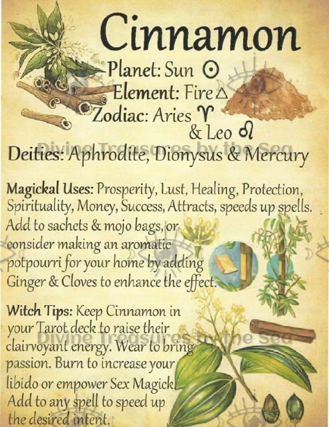 Witches Burrs, Witch Balls, Witch Things, Magickal Herbs, Tarot Significado, Witch Herbs, Green Witchcraft, Magia Das Ervas, Wiccan Magic