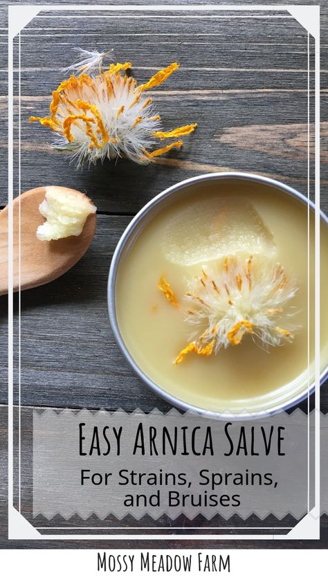 Arnica Salve Recipe, Arnica Salve, Arnica Oil, Herbal Education, Bulk Herbs, Homemade Remedies, Keeping Healthy, Healing Herbs, Health Problems