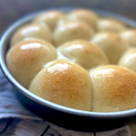 Sourdough Dinner Rolls - Amy Bakes Bread