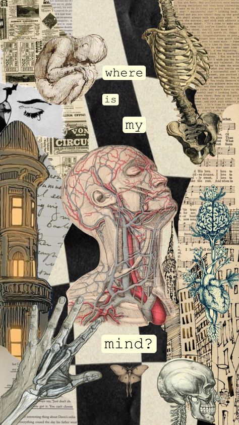 Where is my mind? Just Aesthetic, Where Is My Mind, Medical Art, My Mind, Anatomy, Medical, Energy, Human, Collage