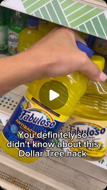 Kristina on Instagram: "These hacks will save you money thanks to Dollar Tree! #hack #dollartreehacks #dollartreefinds #LifeHack #savemoney #useful #foryoupage" Hacks For Organizing, Dollar Store Cleaning Hacks, Good2grow Hack, Dollar Tree Car Hacks, Dollar Tree Cleaning, Easy Storage Hacks, Hacks For Home, Moving Hacks, Clever Kitchen Storage