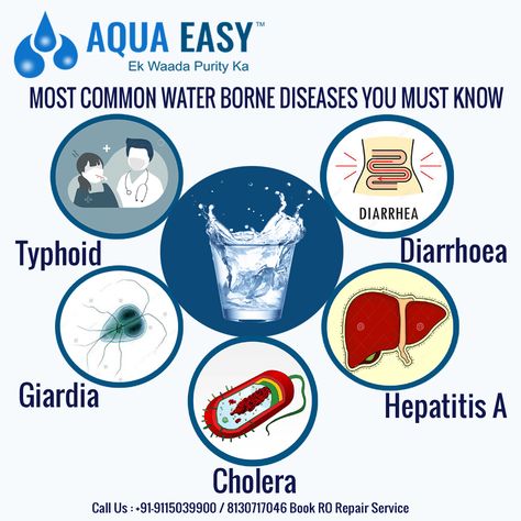 you should know the Waterborne Disease actually are so that you can know about it and then, we will discuss some precautions to stay prevented from this. One more thing, you must have RO purifier to prevent this disease and for a reliable purifier, visit RO Water Purifier repair and service. Ro Purifier, Ro Water Purifier, Water Resources, Disease Prevention, The Who, Water Purifier, Water Bear, Disease, You Must