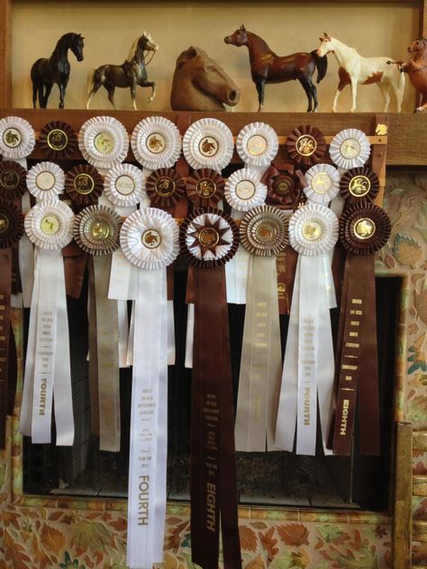 The Original Ribbon Rack This is gorgeous~ even though not blue, red and yellow! Display Horse Show Ribbons, Horse Ribbons Display Ideas, Horse Show Ribbon Display, Horse Ribbon Display, Show Ribbon Display, Ribbon Rack, Horse Show Ribbons, Horse Ribbons, Ribbon Display