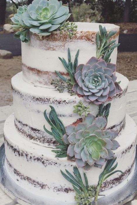 Cake With Succulents, Plain Wedding Cakes, Peace Of Cake, Succulent Wedding Cakes, Inside Wedding, Wedding Cake Tasting, Mason Jar Gifts Diy, Succulent Cake, Vegan Wedding Cake