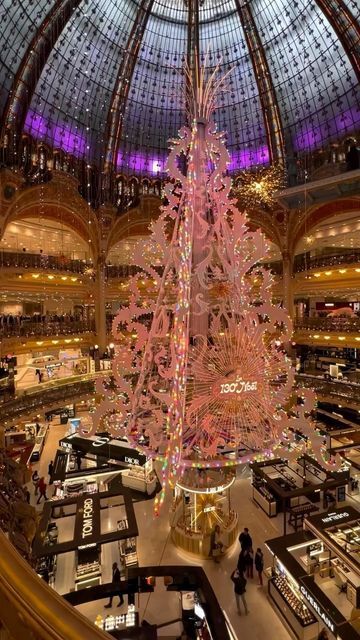 ChampsElysees_Paris on Instagram: "Galeries Lafayette Haussmann Le sapin de noël 2024 2024 Christmas tree  Crédit Photo: @florianm.75  Follow us on IG: @champselysees_paris www.champselysees-paris.com  © Paris, Always an Amazing idea!  #paris #igersparis #galerieslafayette #galerieslafayettehaussmann #sapindenoel #christmastree #christmasdescorations #decorationsdenoel" Lafayette Paris, 2024 Christmas, Galeries Lafayette, West Africa, Christmas Tree, Paris, Christmas, On Instagram, Instagram