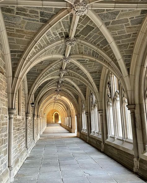 A long outdoor corridor with brown brick and cement arches Prinston University Aesthetic, Prinston University, Princeton University Dorms, Princeton Aesthetic, Princeton University Aesthetic, University Auditorium, Princeton Campus, Waterloo University, Princeton University Campus