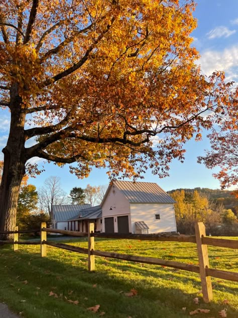 Fall Aesthetic Vermont, Fall In The Country Aesthetic, Fall Village Aesthetic, Midwestern Fall Aesthetic, Autumn Aesthetic 2023, Fall Aesthetic Thanksgiving, American Farm Aesthetic, Southern Fall Aesthetic, Vermont Fall Aesthetic