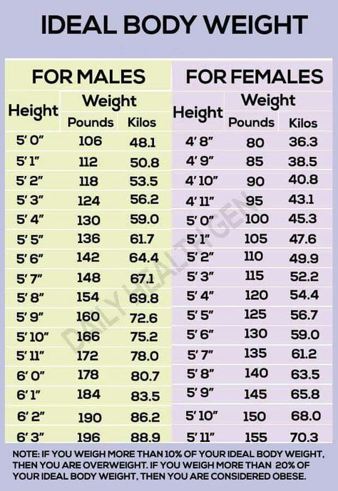 Body weight chart Height To Weight Chart, Ideal Weight Chart, Weight Charts For Women, Weight For Height, Weight Chart, Weight Charts, Ideal Body Weight, Body Types Women, Weights For Women