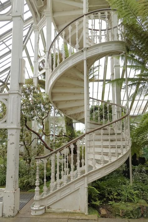 Victorian Orangery, Stairs Victorian, Victorian Conservatory Interior, Victorian Staircases, Stairways Ideas, Garden Atrium, Interior Entryway, Greenhouse Conservatory, Conservatory Sunroom