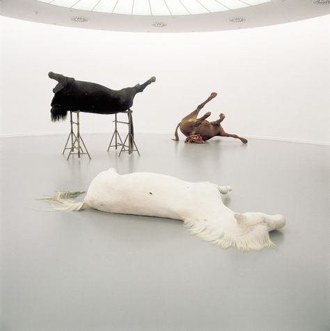 Berlinde De Bruyckere  In Flanders Fields, 2000 In Flanders Fields, Dream Sequence, Taxidermy Art, Plastic Art, Horse Sculpture, Scary Art, Contemporary Sculpture, T Art, Sculpture Installation