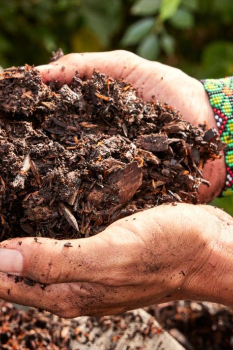 How to Make Compost Start Composting, Make Compost, How To Make Compost, Kitchen Waste, Reduce Food Waste, Composting, The Soil, Food Waste, Easy Steps