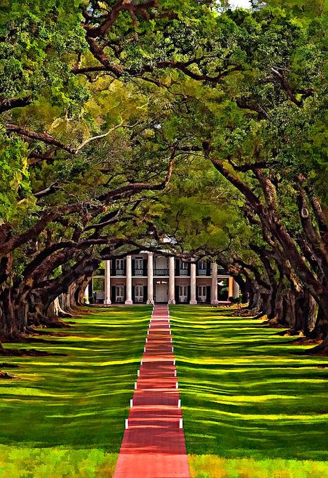 Tours In New Orleans, Southern America, Living Pool, Southern Plantations, New Orleans Travel, Oak Trees, Steve Harrington, Foto Art, Mississippi River