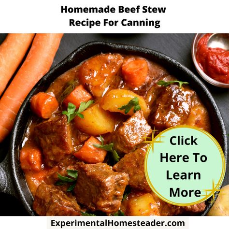 Homemade Beef Stew Recipe For Canning Vege Bake, Pioneer Women Beef Stew, Fillet Steak Recipes, Vegetable Beef Stew Recipe, Electric Pressure Canner, Easy Kid Friendly Recipes, Best Beef Stew Recipe, Homemade Beef Stew Recipes, Vegetable Bake Recipes