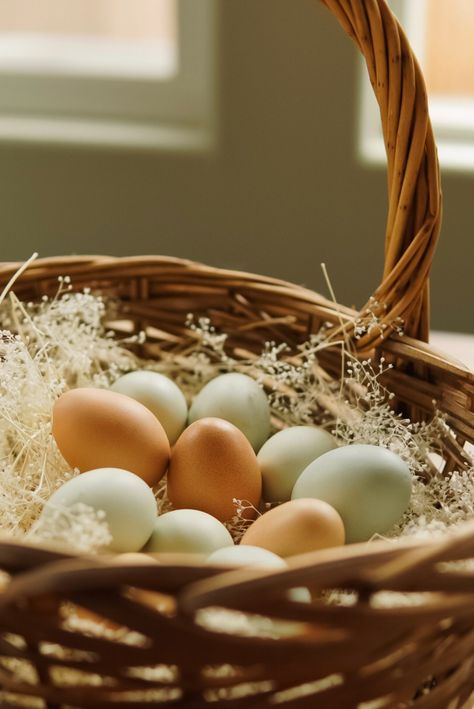 Easter basket ideas for babies-teens - Our Tiny Nest Easter Basket Ideas For Babies, Lego Easter, Bunny Bait, Vanilla Marshmallows, Egg Bowl, Farm Fresh Recipes, Easter Basket Ideas, Marshmallow Cream, Spring Staples