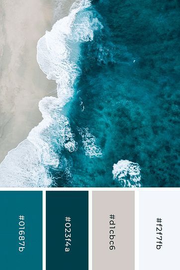 Clothes Color Palette, Aqua Color Palette, Ocean Color Palette, Teal Color Palette, Turquoise Color Palette, Orange Color Palettes, Black Color Palette, Purple Color Palettes, Red Colour Palette