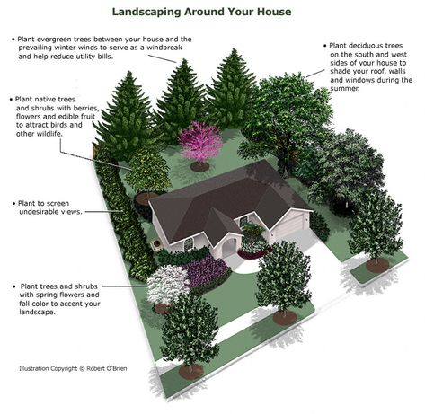 Exterior Landscaping, Villa Architecture, Landscaping Around House, Landscaping Trees, Privacy Landscaping, Farmhouse Landscaping, Tree Tree, Landscape Plans, Home Landscaping