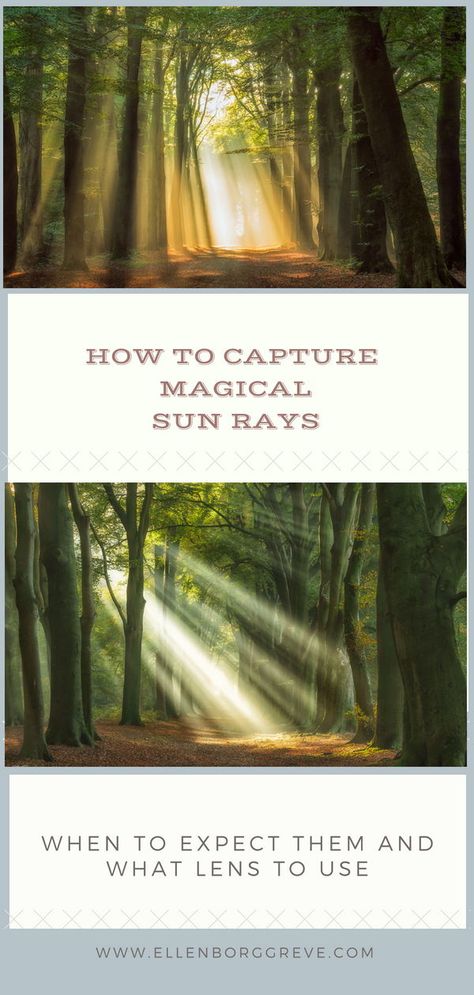 How to capture magical sun rays. Sun rays make every forest scene looks enchanted and magical. How to photograph these heavenly sunbeams, when to capture them, what lens to use and what conditions to look out for... Sunlight Photography, Creative Advertising Photography, Photo Lessons, Photography Settings, Sun Flare, How To Photograph, Light Rays, Photography Basics, Photography Tips For Beginners