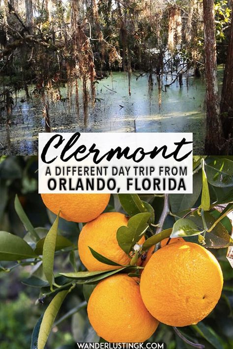 Things To Do In Clermont Florida, Clermont Florida Things To Do, Florida Getaways, Florida Travel Destinations, Clermont Florida, Florida Attractions, Florida Travel Guide, Travel Florida, Florida Adventures