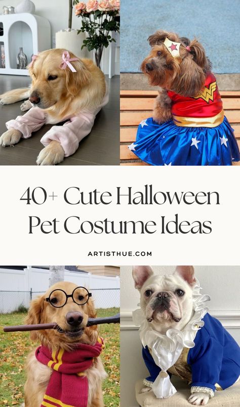 Halloween pet costumes that we are obsessed with | cat dog Halloween costume | Halloween Pet Costumes, Dog Halloween Costume, Pet Halloween Costumes, Dog Halloween Costumes, Halloween Animals, Pet Costumes, Dog Halloween, Your Pet, Halloween Costume