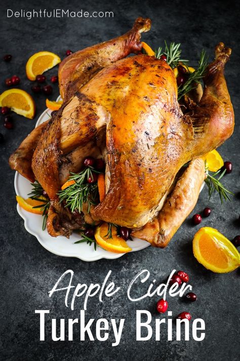 Apple Cider Brine For Turkey, Apple Cider Citrus Turkey Brine, Apple Brined Turkey, Turkey Brine Apple Cider, Turkey Brine With Apple Cider, Apple Cider Turkey Brine Recipes Easy, Diy Turkey Brine Recipe, Best Brine For Turkey Recipes, Turkey Brine Recipes Easy