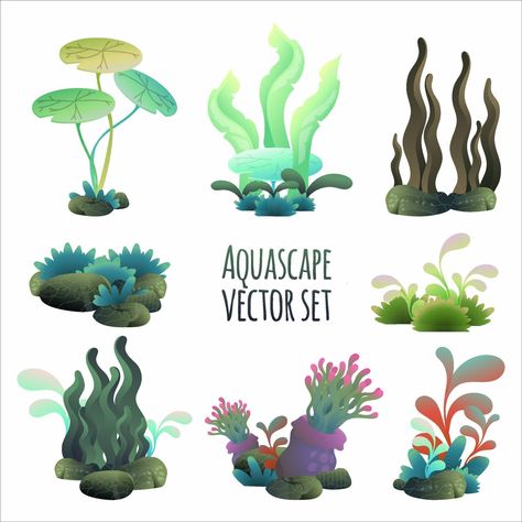 aquascape vector illustration set, aquarium plant set Aquarium Illustration, Aquarium Drawing, Design Learning, Bujo Layout, Dc 10, Learning Graphic Design, Lily Pond, Drawing Projects, Planted Aquarium