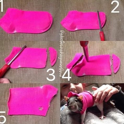 Rat jumper ♥ Pet Rat Cages Diy, Rat Harness Diy, Toys For Rats Diy, Rats Toys Diy, Rat Ideas Diy, Diy Rats Toy, Pet Rats Cages Diy, Diy Rat Toys Homemade, Pet Rat Diy