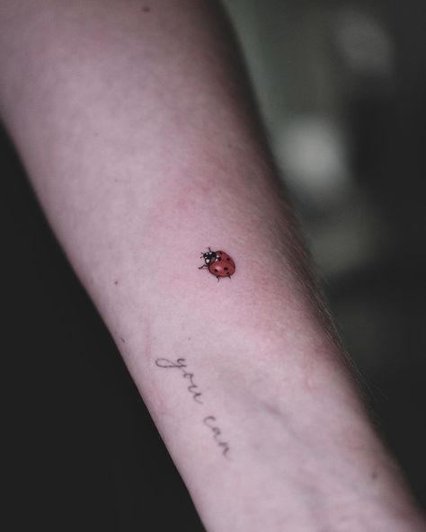 Ladybug Tattoo Meanings And 25 Irresistible "Inkspo" Ideas Fantasy Tattoo, Ladybug Tattoo, Worst Tattoos, Tarot Tattoo, Lady Bug Tattoo, Tattoo Meanings, Bug Tattoo, Petite Tattoos, Sweet Tattoos