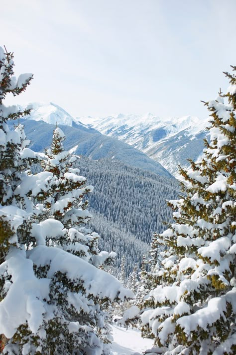 Aspen, Colorado. Colorado Mountains Winter, Like Snow We Fall, Aspen Colorado Winter, Aspen Snow, Skiing Colorado, Colorado Aesthetic, Cozy Lodge, Snow Mountains, Top Of The Mountain