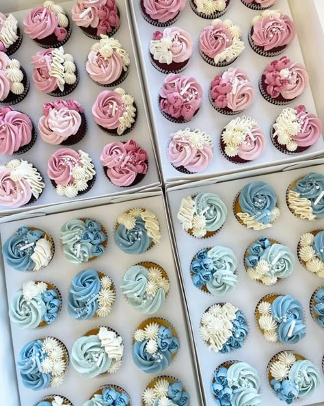 Mini Cupcake Gender Reveal, Gender Cupcakes Ideas, Gender Reveal Cupcakes Ideas, Pink And Blue Cupcakes Gender Reveal, Gender Reveal Treat Ideas, Cupcake Gender Reveal Ideas, Gender Reveal Cupcakes Pink And Blue, Gender Reveal Treats Sweets, Gender Reveal Cupcake Ideas