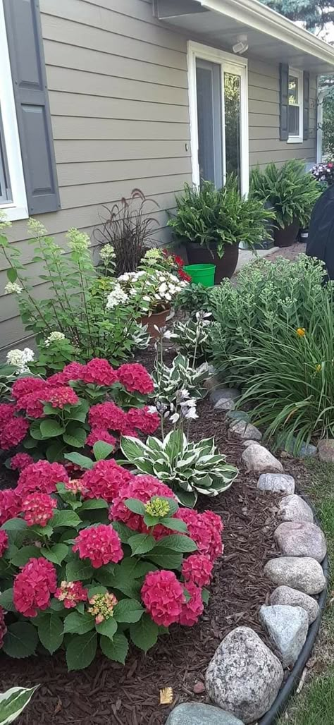 Flower Beds In Front Of House With Hydrangeas, Rock Flower Beds In Front Of House Pots, Raised Flower Bed Front Of House, Floral Landscaping Front Yard, Potted Plants In Front Of House, Landscaping Along Garage, Landscaping Against House Farmhouse, Under Front Window Landscaping Ideas, Landscape Corner Of House