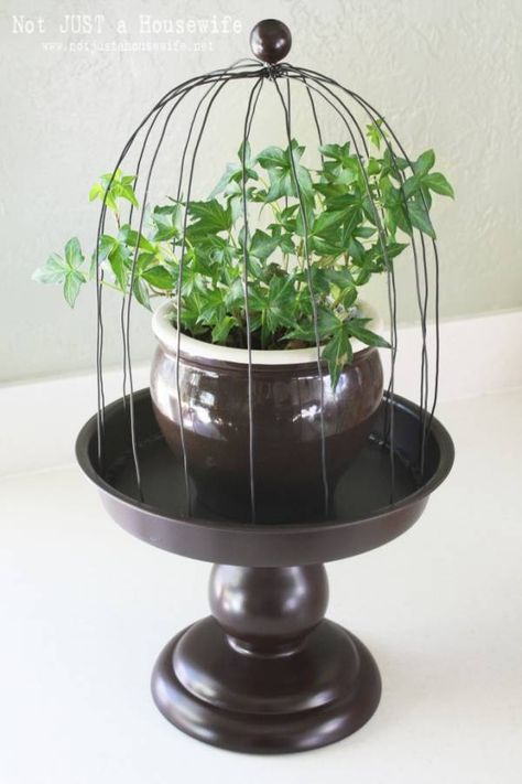 Finding the perfect display for your house plants can be a bit of a challenge.  Dress up your indoor greenery with this cute and easy handmade plant cloche.  Sure, you can buy them, but in this cas… Plant Cloche, Wire Cloche, Wire Plant, Bird Cage Covers, Plants Diy, Handmade Plant, Wire Hanger, Chicken Wire, Diy Plants