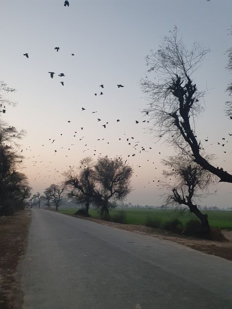 Nature Real peace village beauty Pakistan Village, Hill View, Freedom Is, A Minor, Dark Photography, Emotional Support, Peace Of Mind, I Want, Pakistan