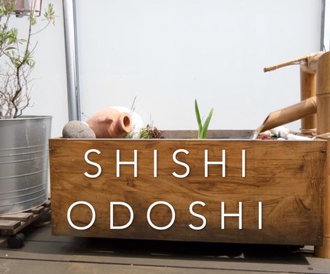 DIY Shishi Odoshi : 4 Steps (with Pictures) - Instructables Shishi Odoshi, Mini Pond, Water Irrigation, Garden Pond Design, Solar Water Pump, Japanese Bamboo, Cat Water Fountain, Pond Design, Solar Water