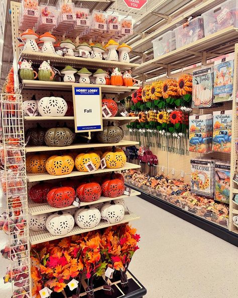 Hobby Lobby FALL decor 2024 🍂🍁☺️🧡 #hobbylobby #hobbylobbyfinds #falldecor #fallfinds #fall #autumn #new #vibes #fallvibes #pumpkinseason #pumpkinspiceseason #foryou #instafinds #instafb #instadaily #dailyfinds #holidays #seasons #shopwithme Hobby Lobby Fall Decor, Hobby Lobby Fall, New Vibes, Hobby Lobby Decor, Lobby Decor, Decor 2024, Pumpkin Spice Season, Welcome Fall, Pumpkin Seasoning