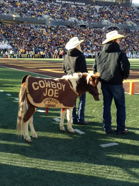 Cowboy Joe is the cutest mascot ever. University of Wyoming football. University Of Wyoming Aesthetic, Epic Aesthetic, University Of Wyoming, College Things, Montana State University, Go Pokes, Critters 3, Wyoming Cowboys, Dutton Ranch