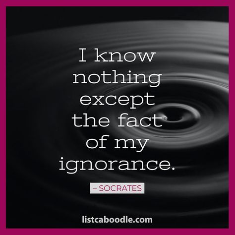 "I know nothing except the fact of my ignorance." More inspirational and thought-provoking Socrates quotes at listcaboodle.com. #Socrates #Quotes Happy Wife Quotes, Socrates Quotes, Famous Sayings, Best Friend Quotes Meaningful, I Know Nothing, Best Friendship Quotes, New Beginning Quotes, Thinking Quotes, Friendship Day Quotes