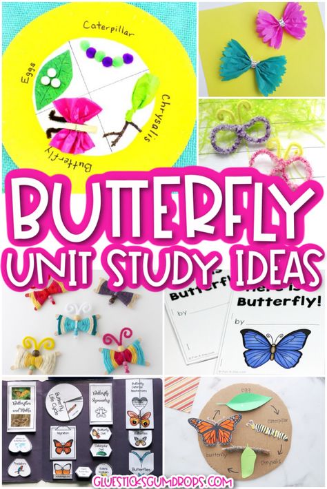 Butterfly Unit Study Kindergarten, Butterfly Science Activities Preschool, Butterfly Science Project, Butterfly Experiment, Butterfly Science Activities, Creative Pathways, Garden Unit Study, Butterfly Unit Study, Christian Kindergarten